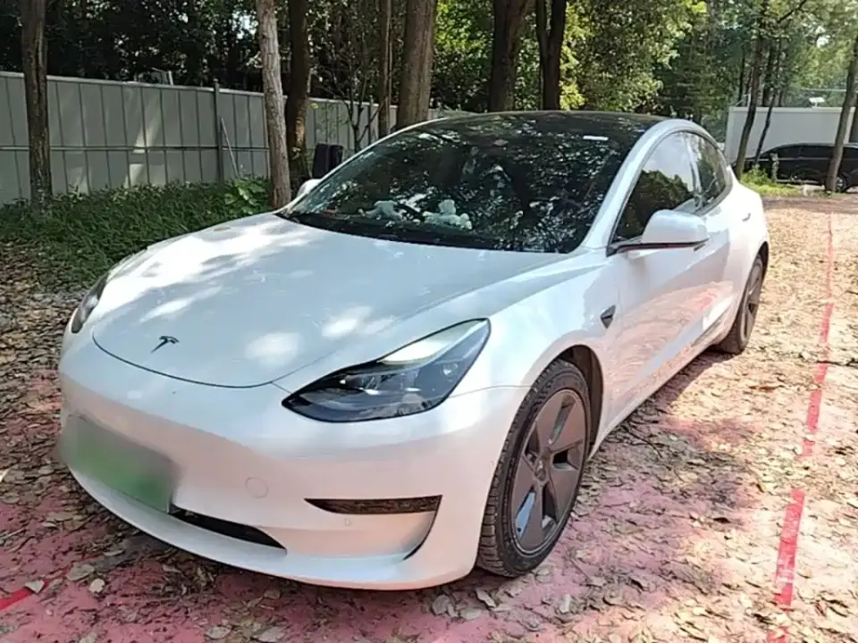 Tesla Model 3 Standard Range Rear-Wheel Drive Upgrade 3D6 2021