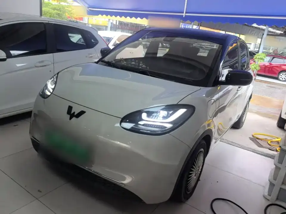 Wuling Motors Wuling Bingo Model 333km Joy+ Version 2023