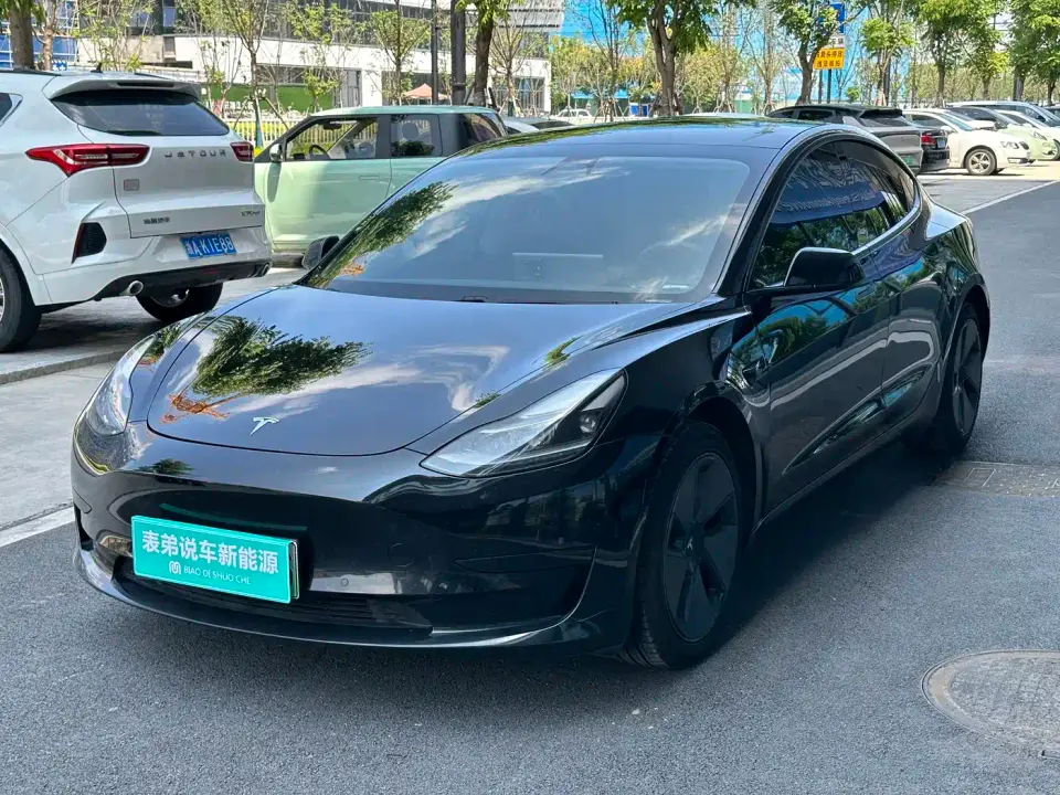 Tesla Model 3 Standard Range Rear-Wheel Drive Upgrade 2021