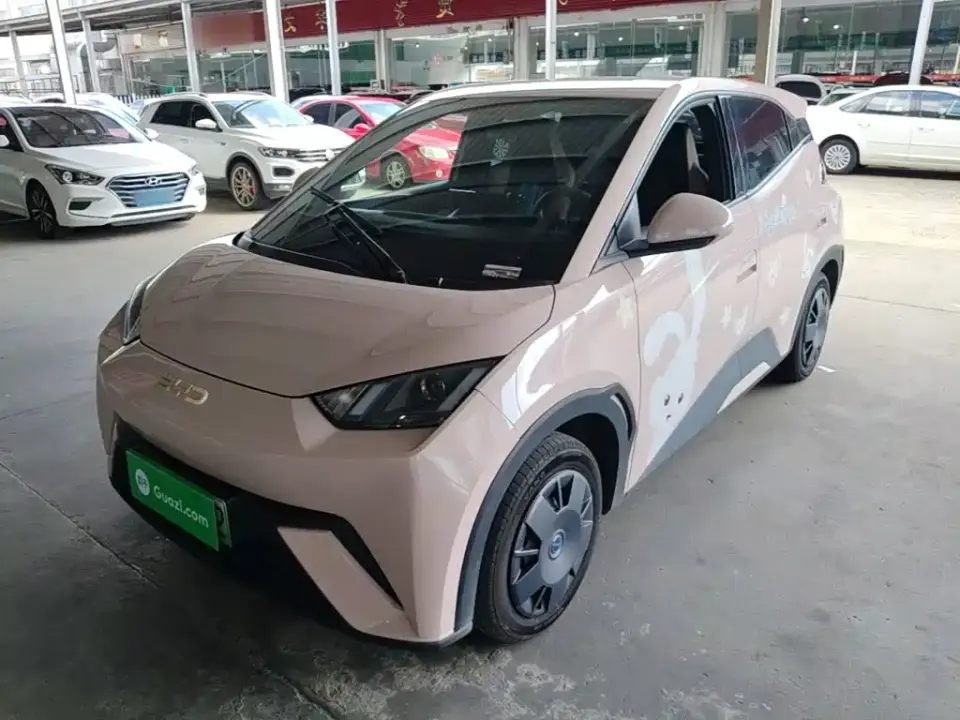 BYD Seagull 305km Vitality 2024