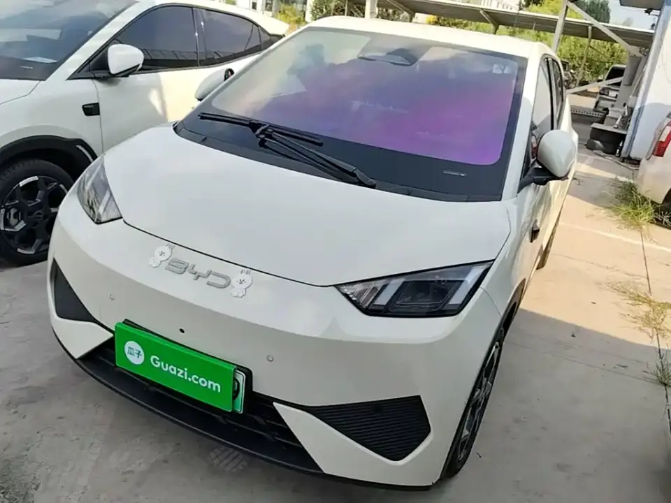 BYD Seagull Smart Drive Edition 305km Freedom Version 2025