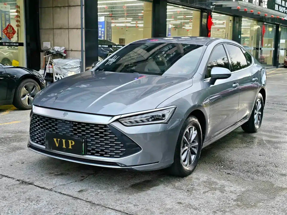 BYD Qin PLUS Glory Edition DM-i 55KM Leading 2024