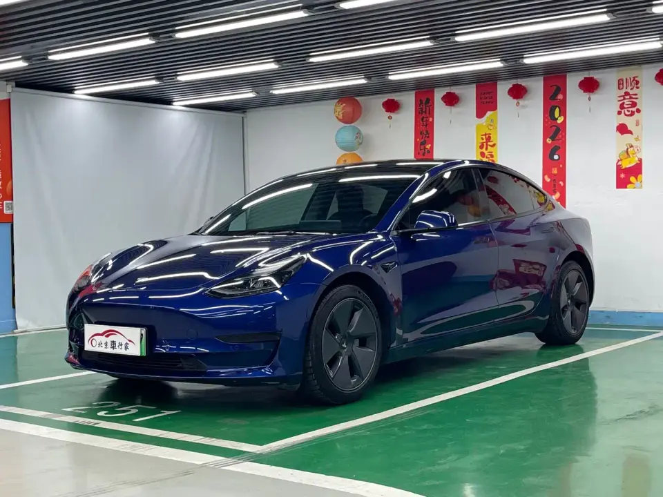 Tesla Model 3 Standard Range Rear-Wheel Drive Upgrade 3D6 2022
