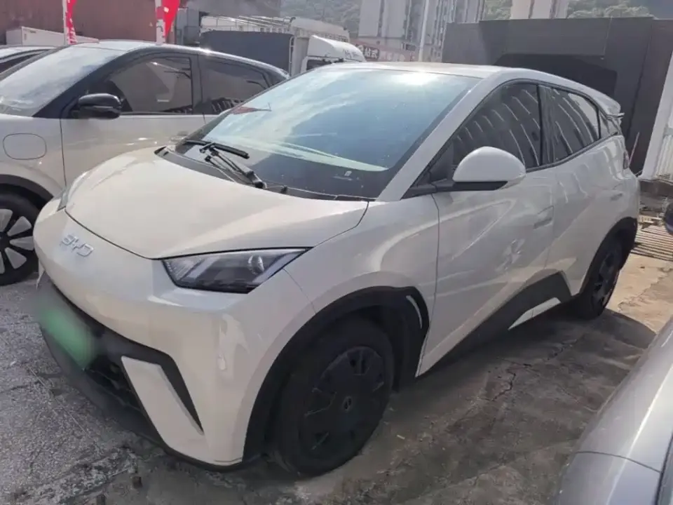 BYD Seagull 305km Vitality 2025