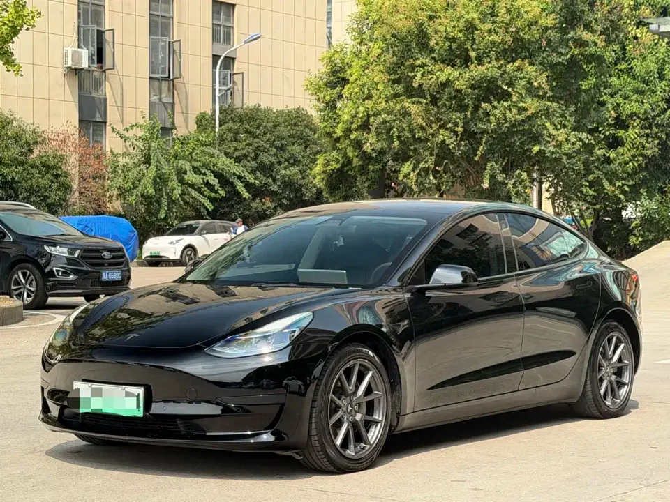 Tesla Model 3 Standard Range Rear-Wheel Drive Upgrade 3D6 2021
