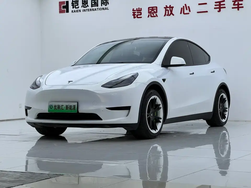 Tesla Model Y Rear-Wheel Drive Version 2022