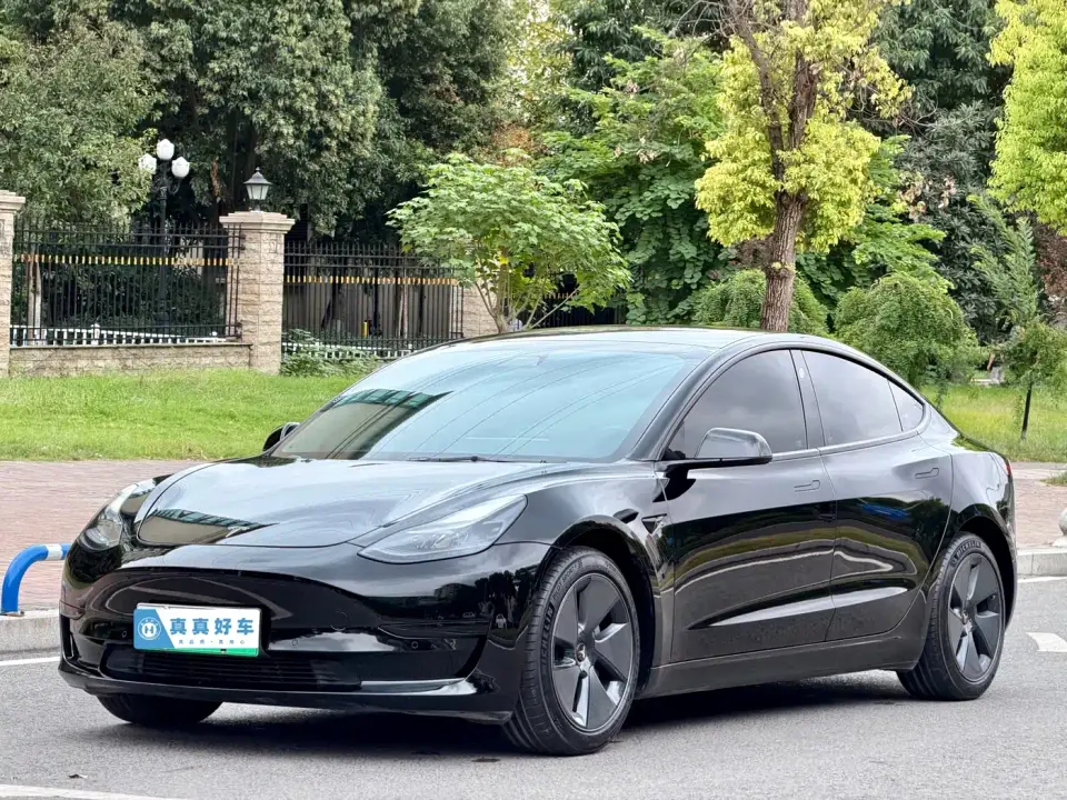 Tesla Model 3 Facelift Standard Range RWD Upgrade 3D1 2021