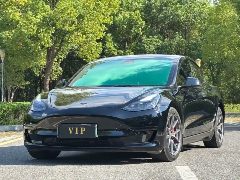 Tesla Model 3 Standard Range Rear-Wheel Drive Upgrade 3D6 2022