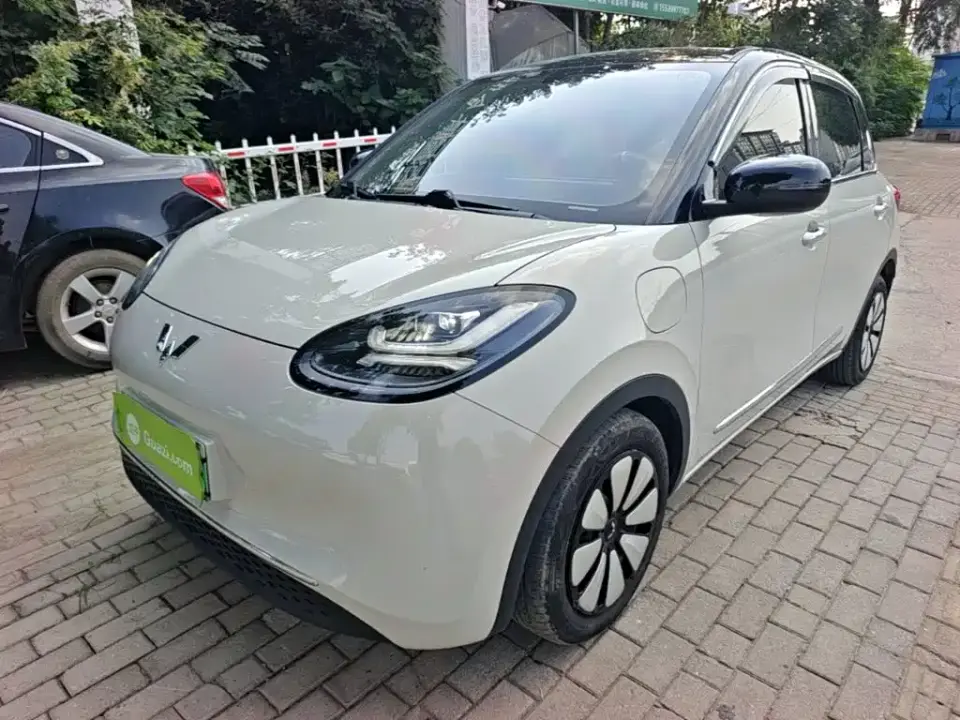 Wuling Motors Wuling Bingo 333km Comfort Edition 2025