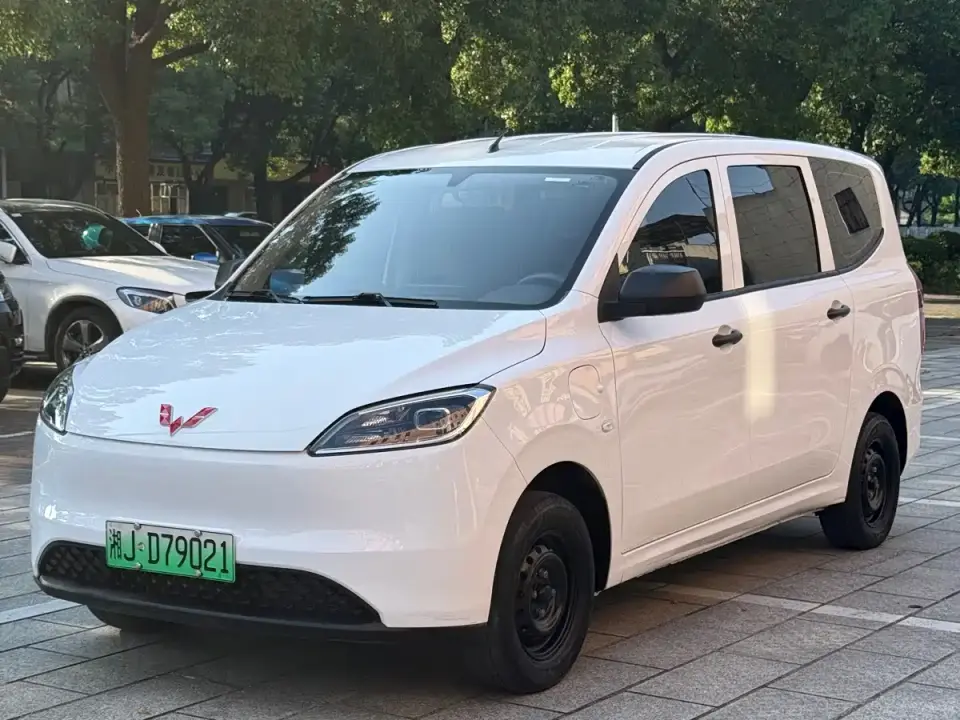 Wuling Motors Wuling Hongguang New Energy Model Pure Electric 300KM Utility Version 2024