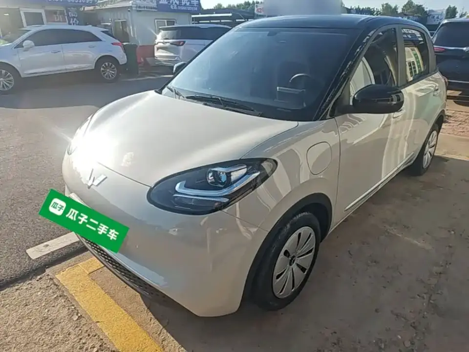 Wuling Motors Wuling Bingo 333km Quick Enjoy Version 2024