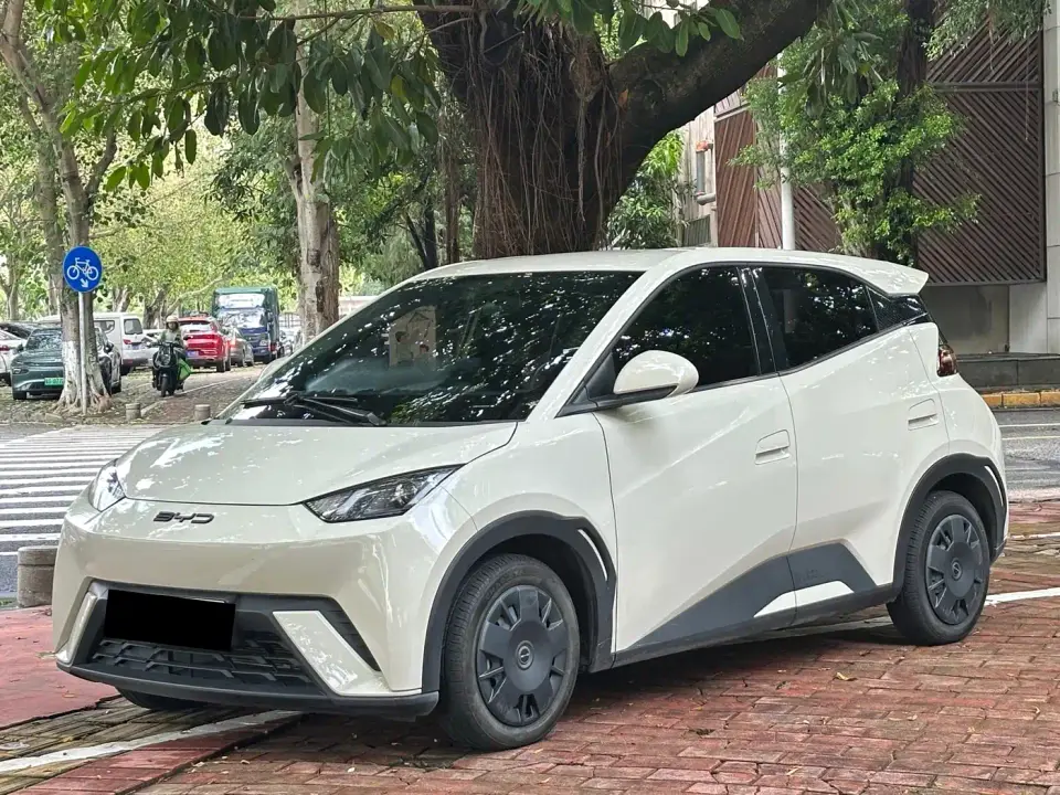 BYD Seagull Vitality Edition 2024