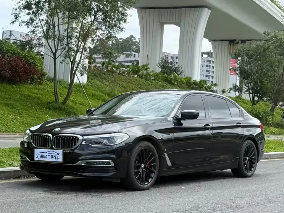 BMW 5 Series New Energy 530Le Luxury Package 2019