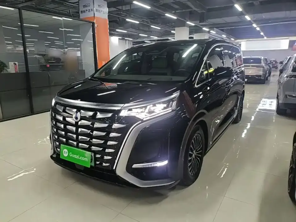 Denza D9 DM-i 970 AWD Flagship 2024