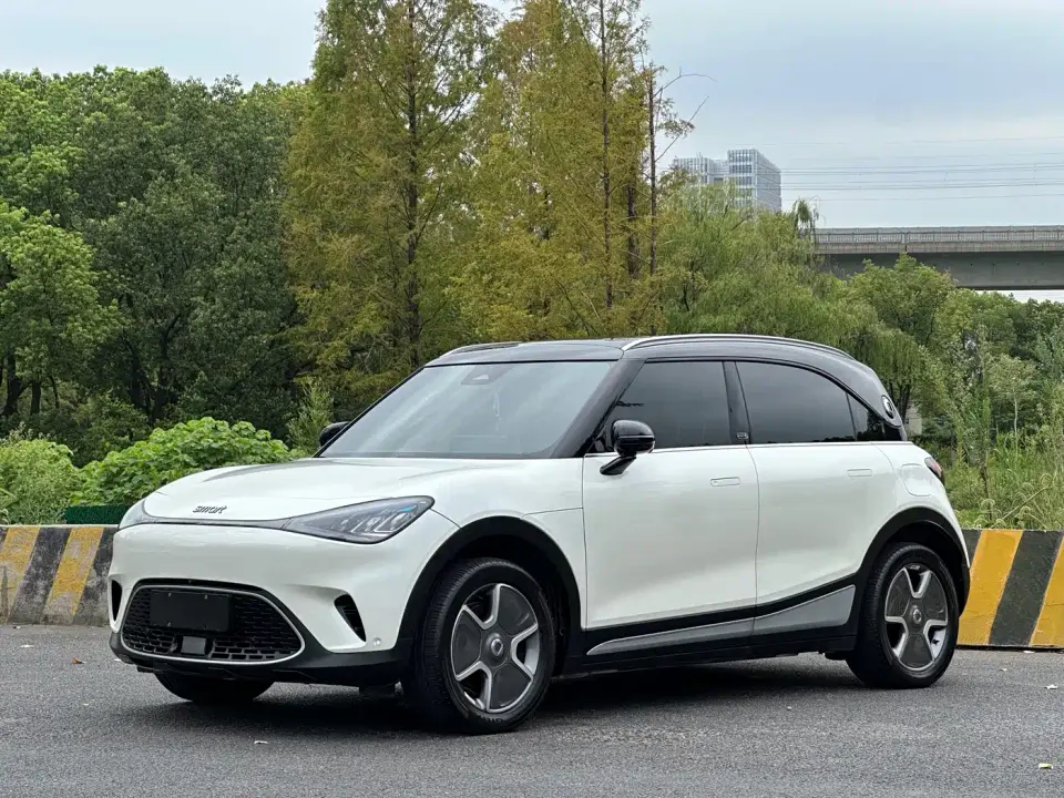 Smart Elf #1 Model Pro Edition 2024