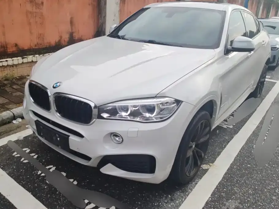BMW X6 xDrive35i M Sport Package 2019