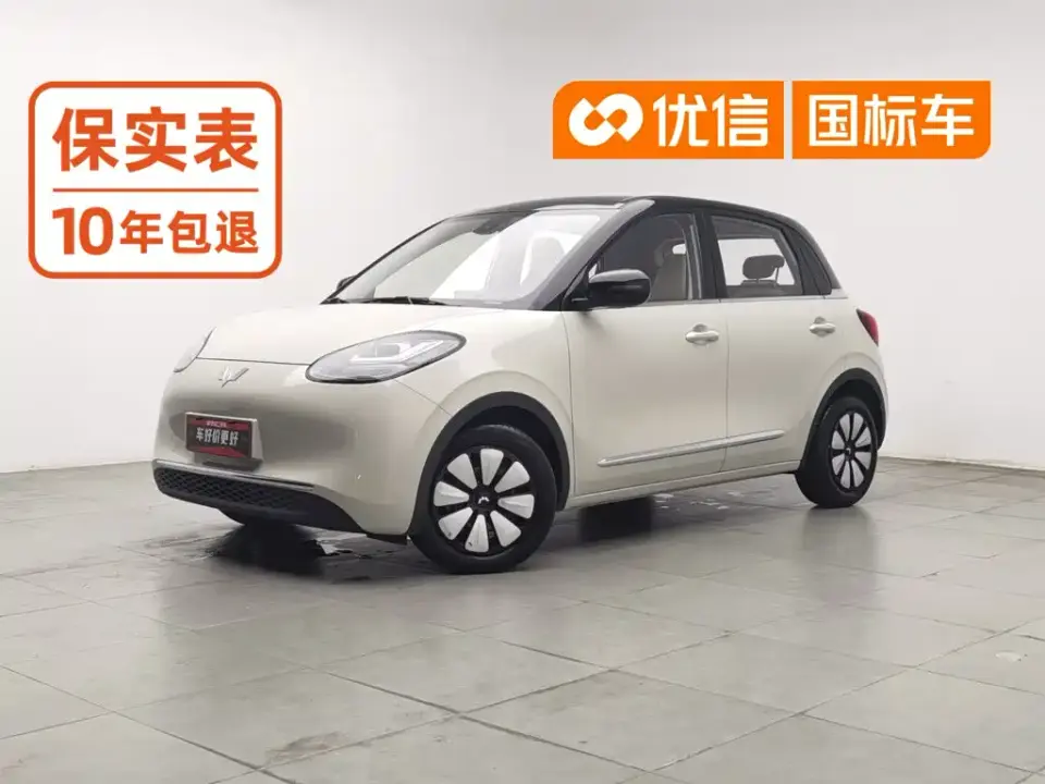 Wuling Motors Wuling Bingo 203km Comfort Version 2023