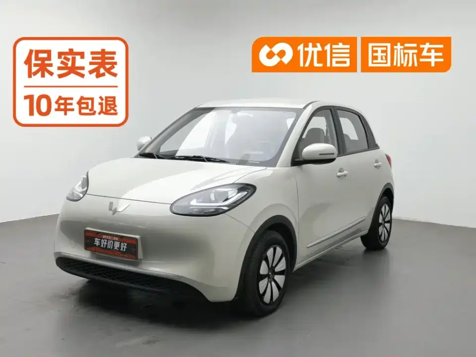 Wuling Motors Wuling Bingo Model 203km Lite Enjoyment Edition 2023