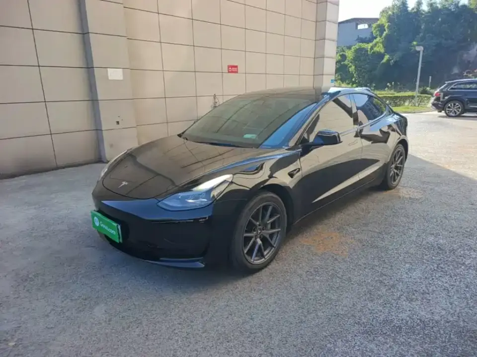 Tesla Model 3 Model Rear-Wheel Drive Version 2022