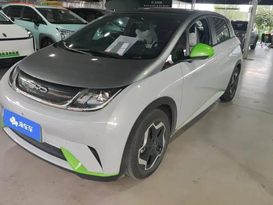 BYD Dolphin Model 405km Fashion Edition 2022