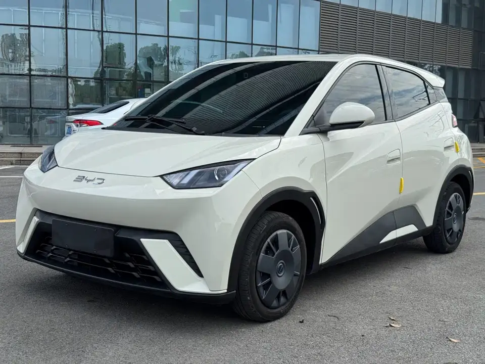 BYD Seagull Glory Edition 305km Vitality Edition 2025