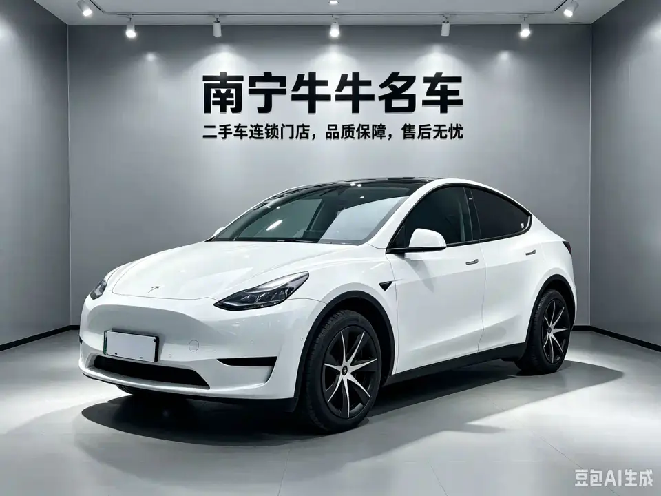 Tesla Model Y Rear-Wheel Drive Edition 2024