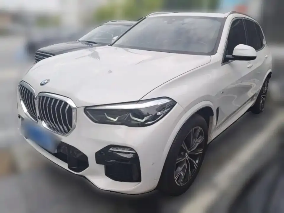 BMW X5 (Import) Facelift xDrive30i M Sport Package 2021