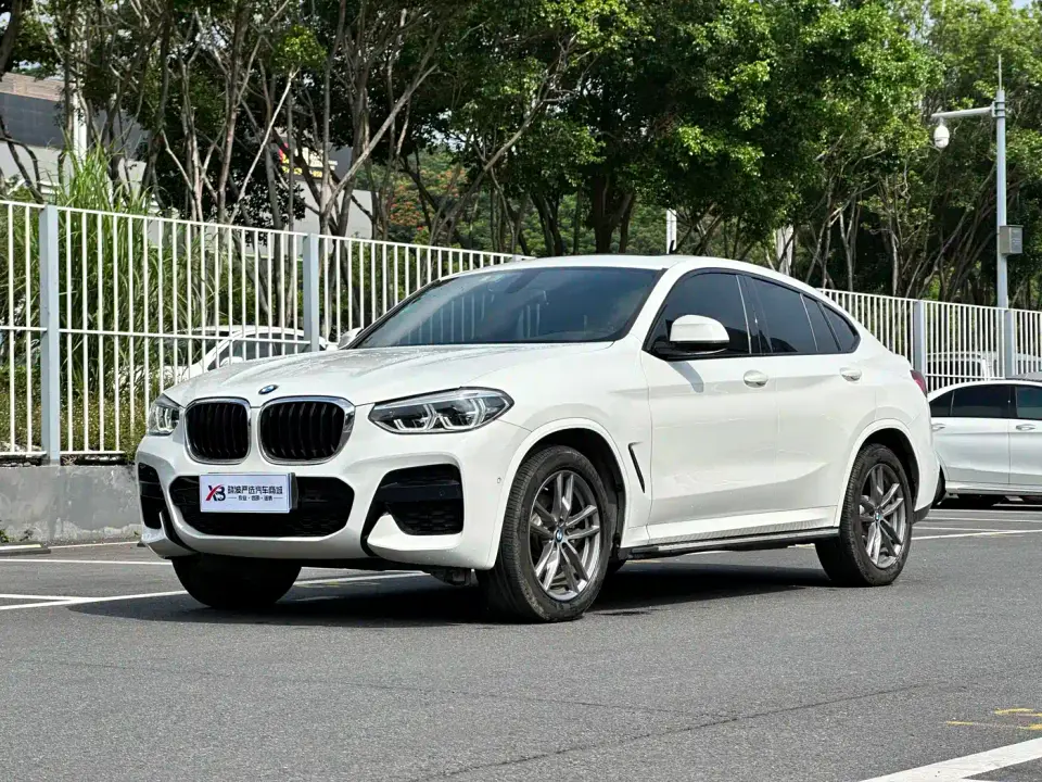 BMW X4 xDrive25i M Sport Package 2019