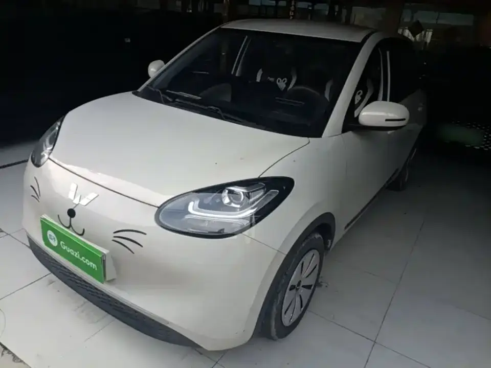 Wuling Motors Wuling Bingo Model 203km Lite Enjoyment Edition 2023