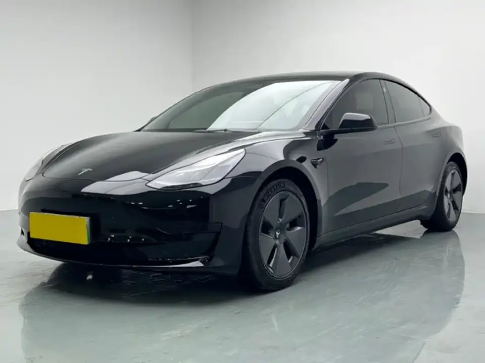 Tesla Model 3 Standard Range Rear-Wheel Drive Upgrade 3D6 2021