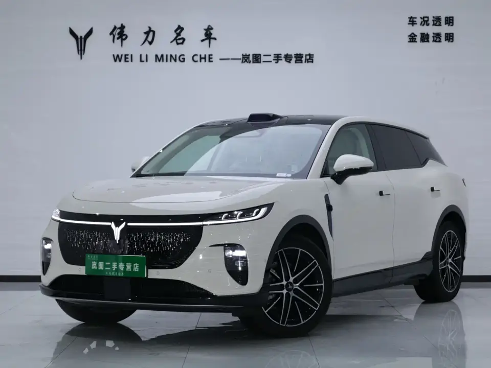 Voyah Auto Voyah Zhiyin Base 2025