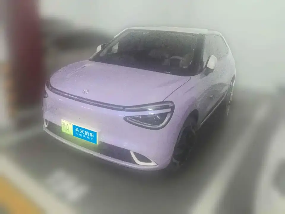 Dongfeng Yipai Nano 01 330 Plus Smart+ 2024