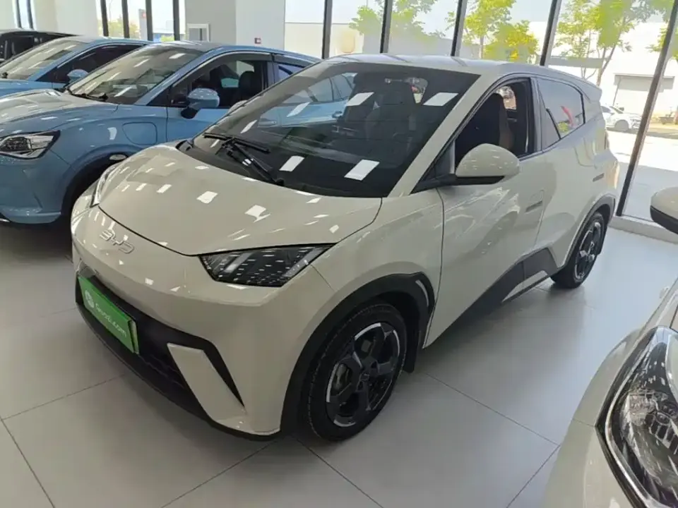 BYD Seagull Glory Edition 305km Freedom Edition 2024