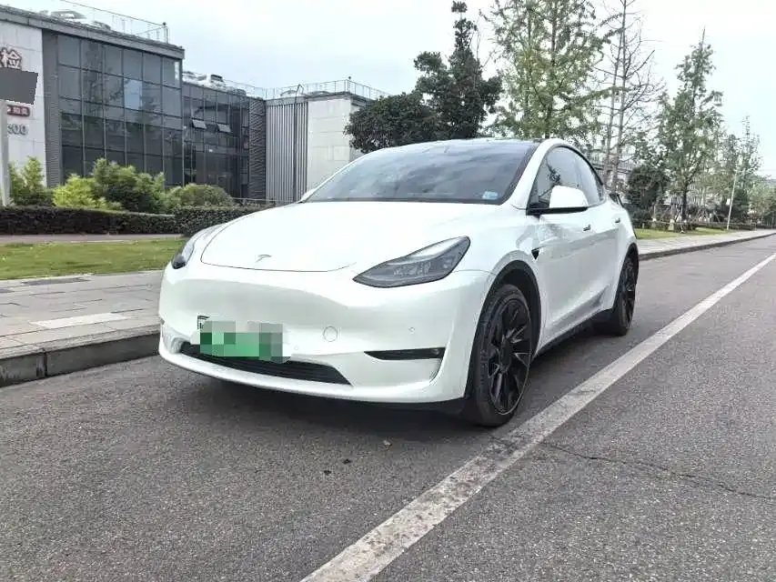 Tesla Model Y Model Long Range AWD 2021