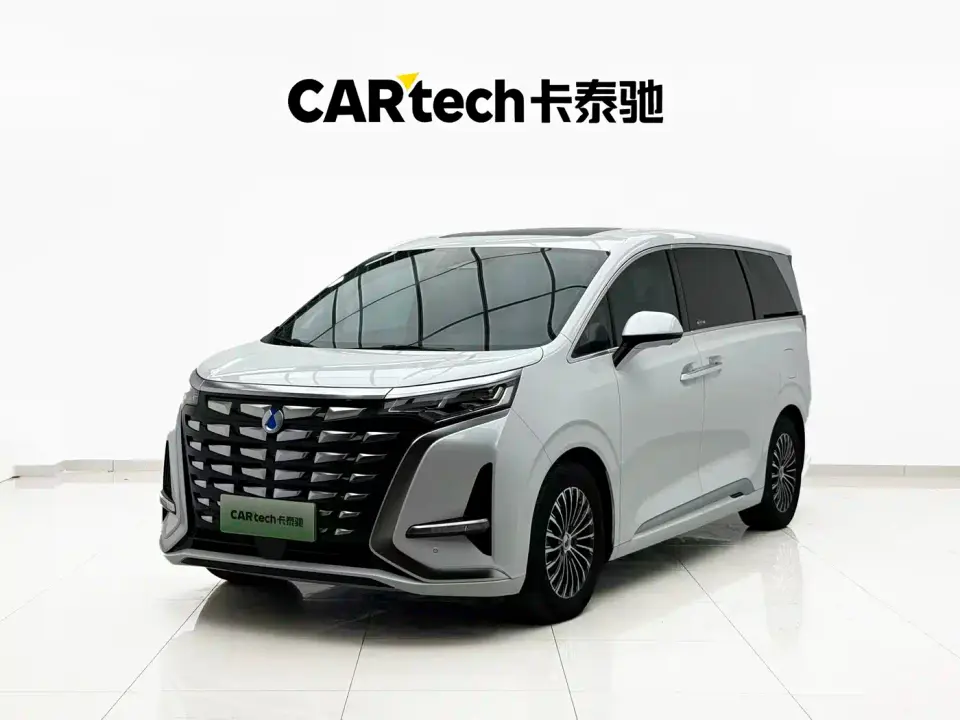 Denza D9 DM-i 1040 Premium 2024