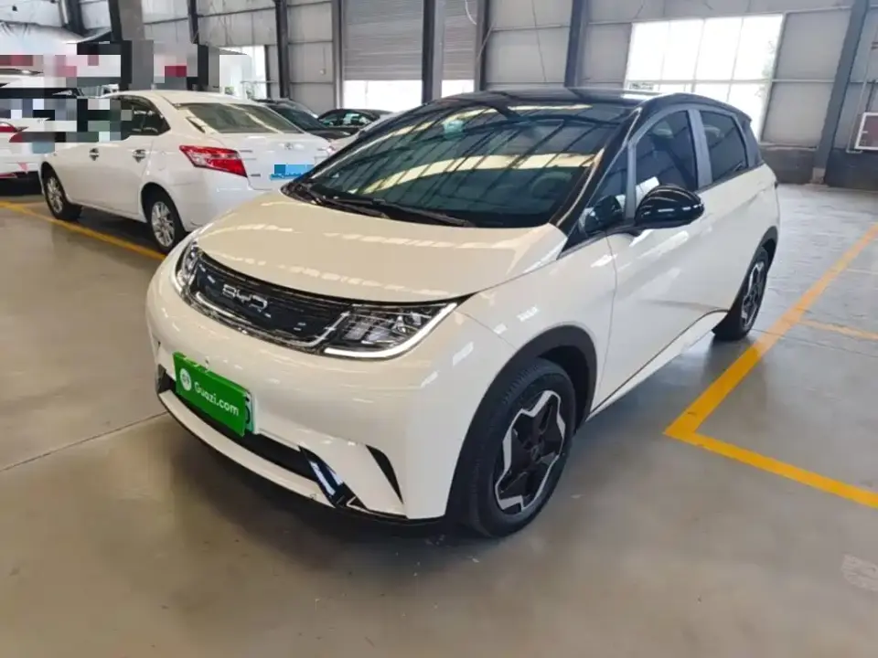 BYD Dolphin Model 405km Fashion Edition 2022