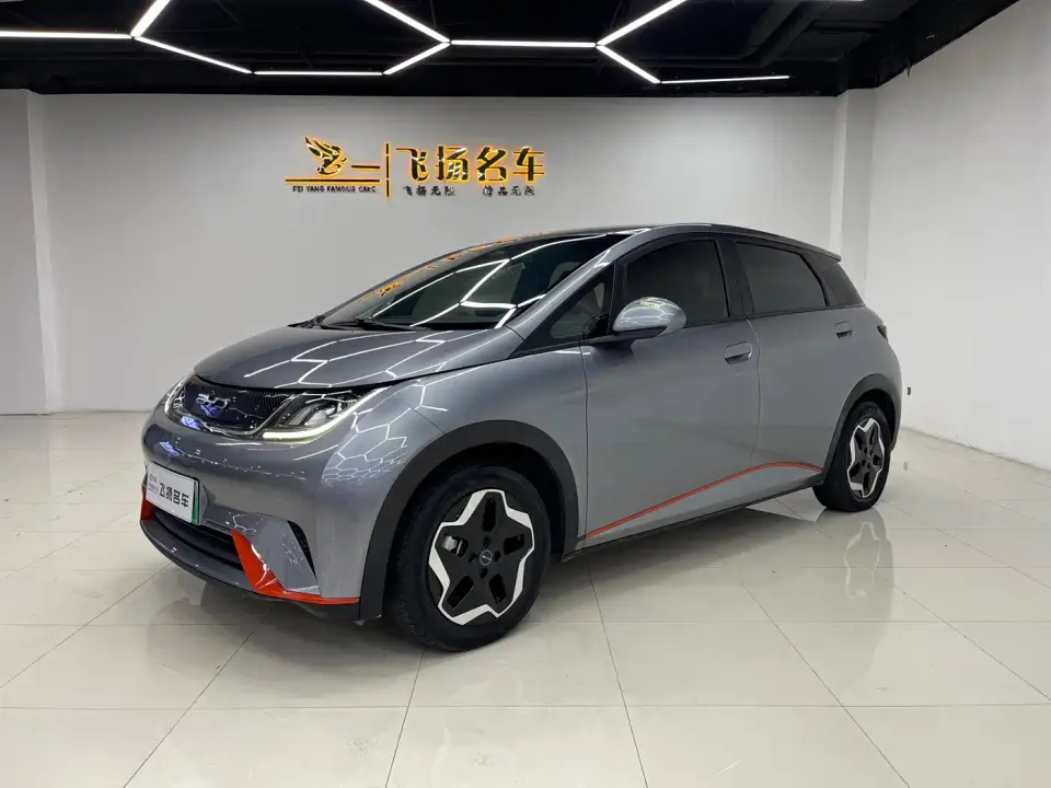 BYD Dolphin 405km Freedom Edition 2022