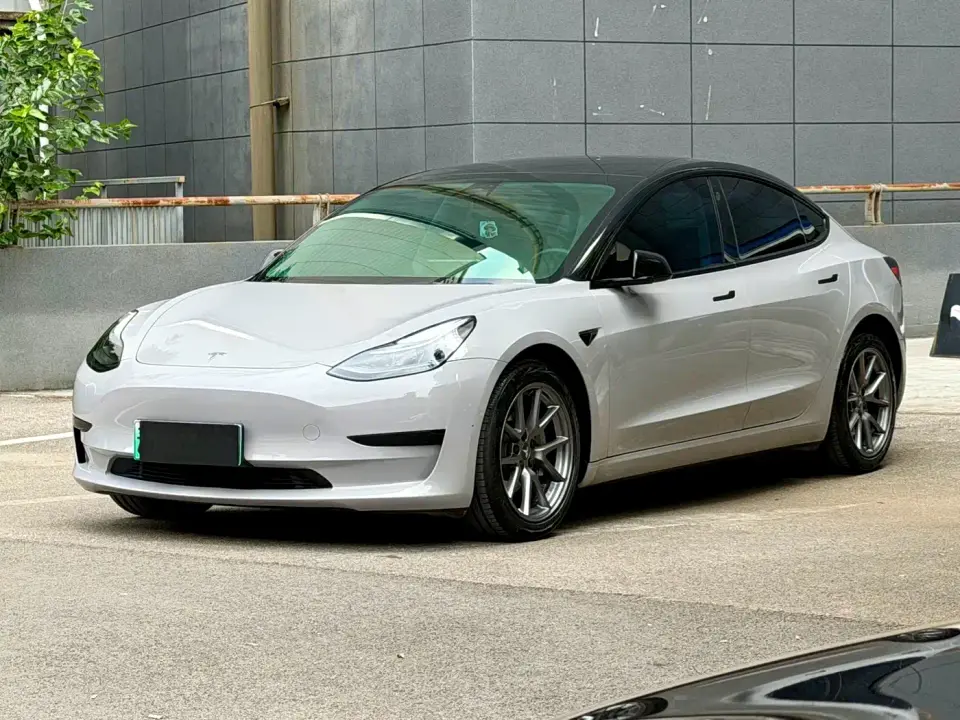 Tesla Model 3 Model Rear-Wheel Drive Version 2023
