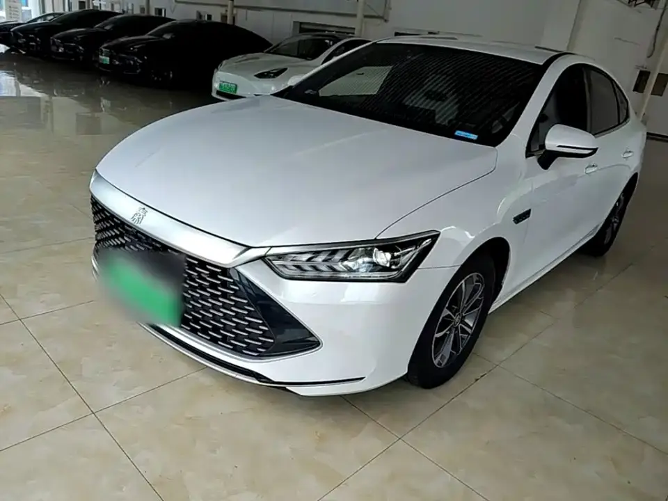 BYD Qin PLUS Champion Edition DM-i 55KM Leading 2024