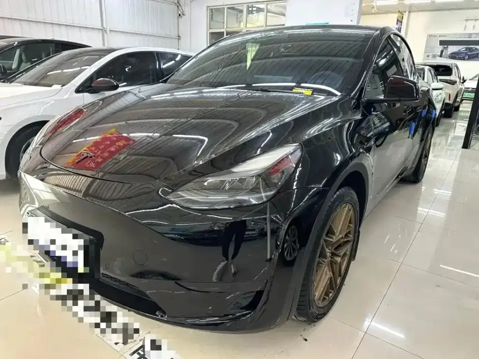 Tesla Model Y Rear-Wheel Drive Version 2022