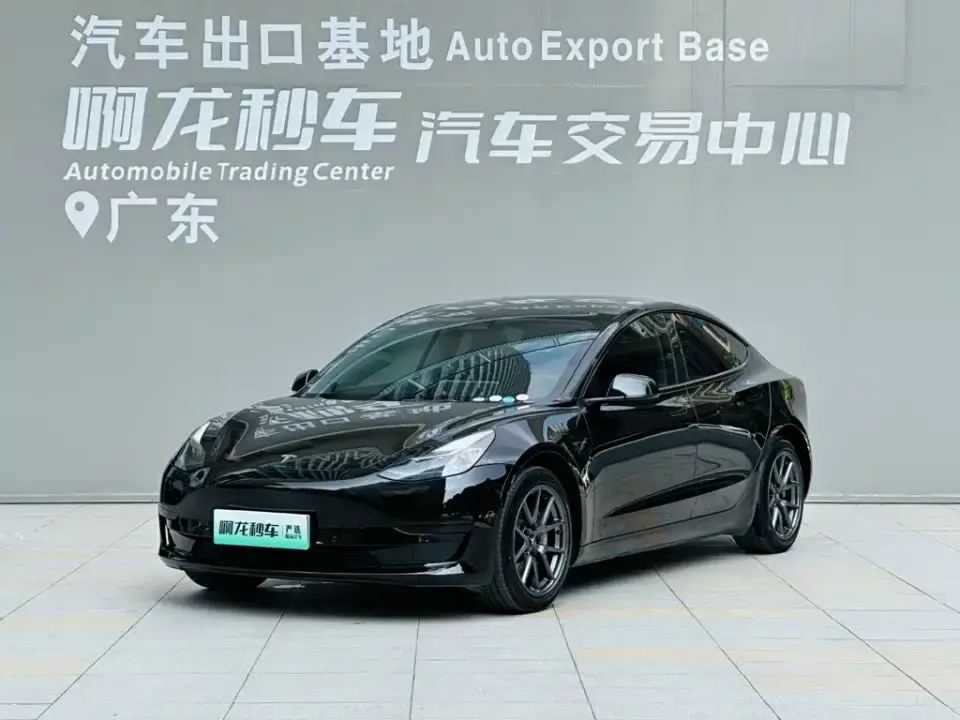 Tesla Model 3 Model Rear-Wheel Drive Version 2023