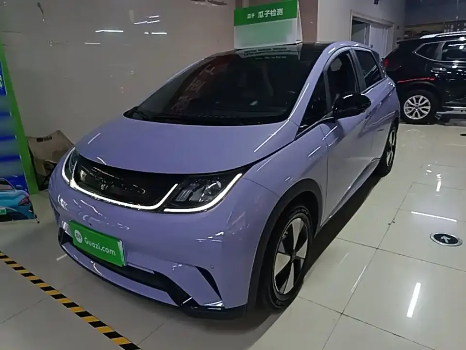 BYD Dolphin 420km Fashion Edition 2024