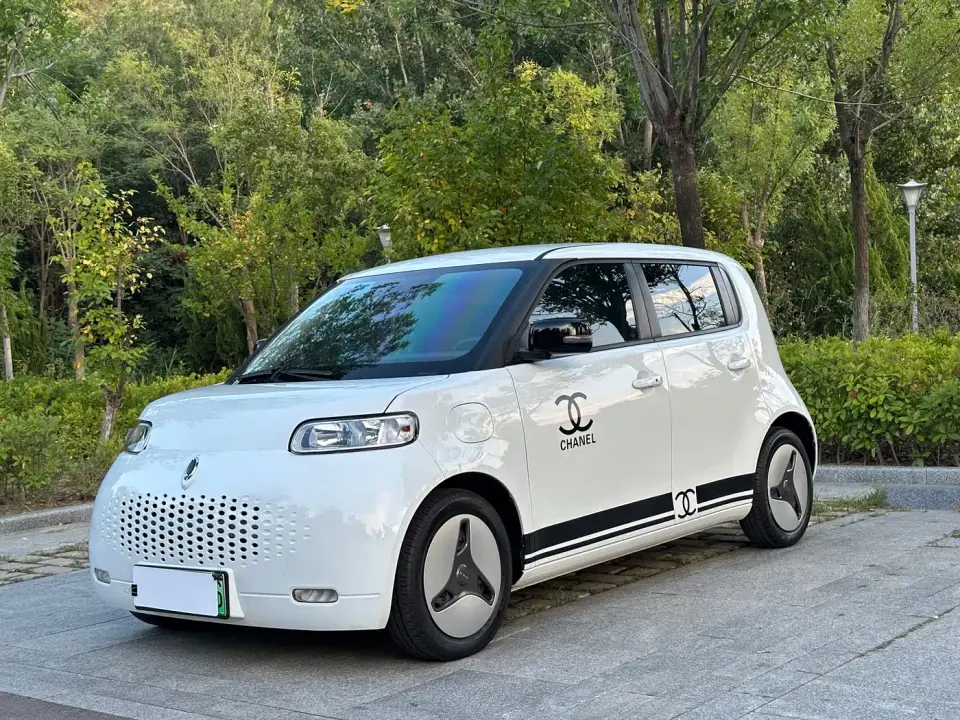 ORA White Cat 401km Long Range Model 2021