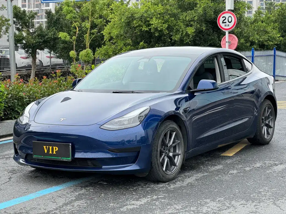 Tesla Model 3 Model Rear-Wheel Drive Version 2022