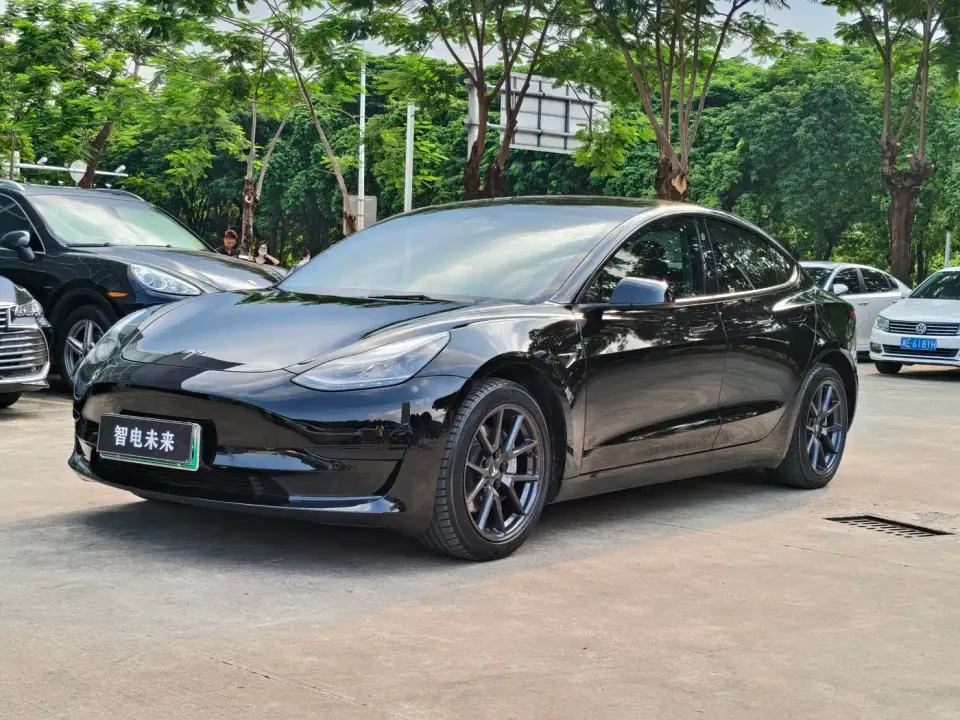 Tesla Model 3 Model Rear-Wheel Drive Version 2022