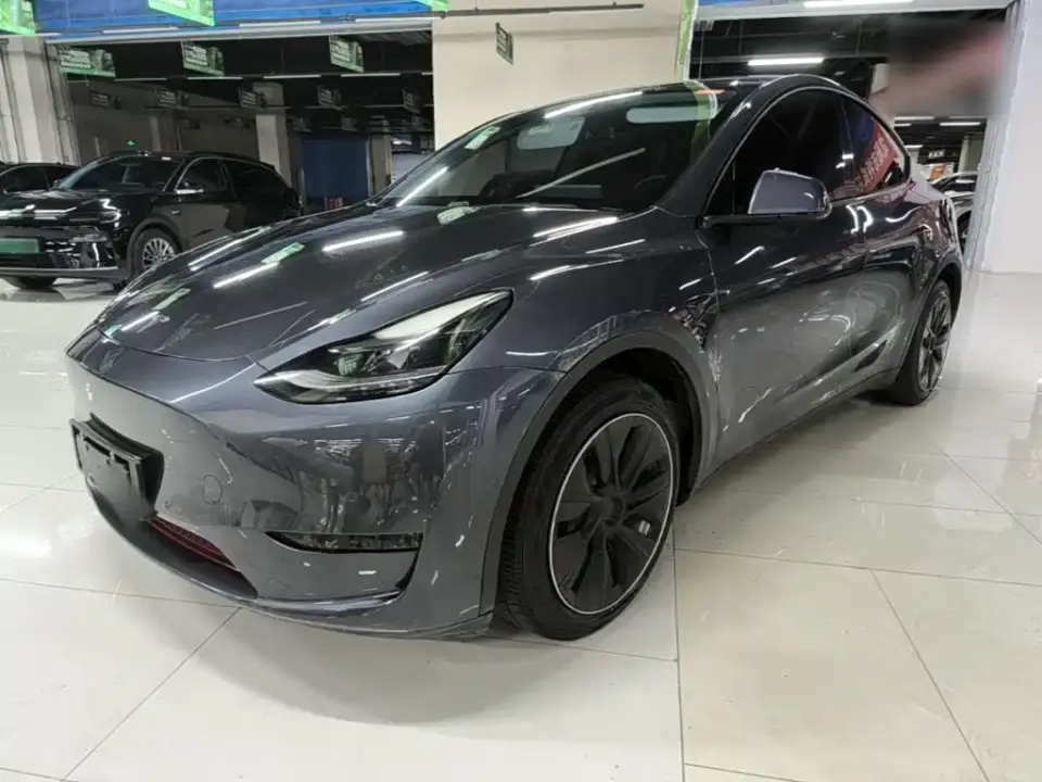 Tesla Model Y Model Long Range AWD 2021