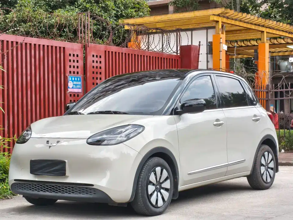 Wuling Motors Wuling Bingo Model 203km Lite Enjoyment Edition 2023