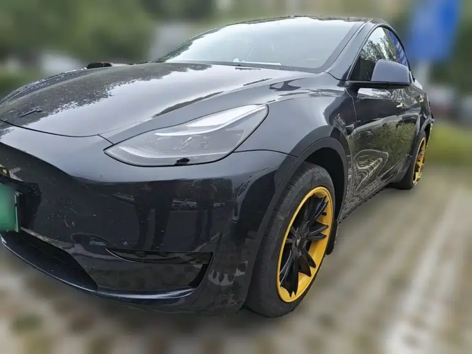 Tesla Model Y Rear-Wheel Drive Version 2024