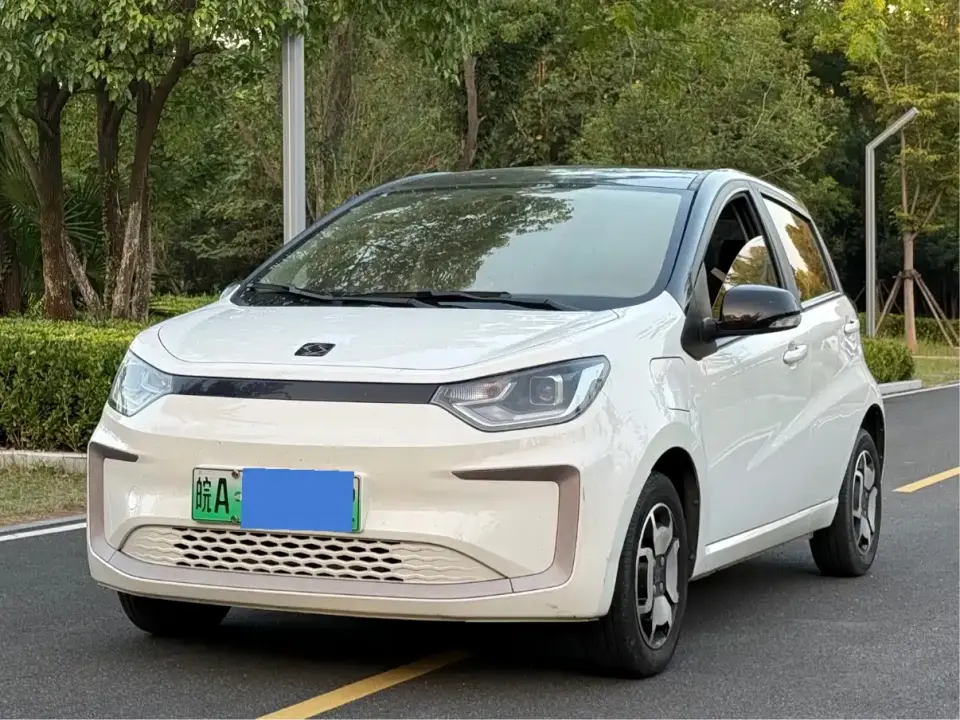Sehol Flower Fairy 302km Luxury 30.2kWh 2021