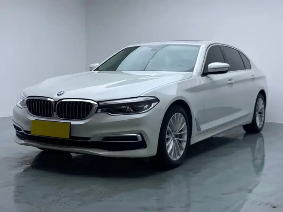 BMW 5 Series 530Li Leading Luxury Package 2019